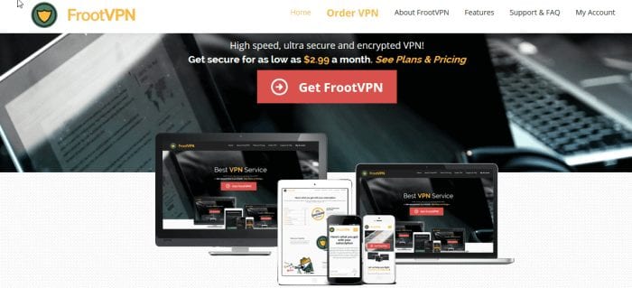 FrootVPN Review