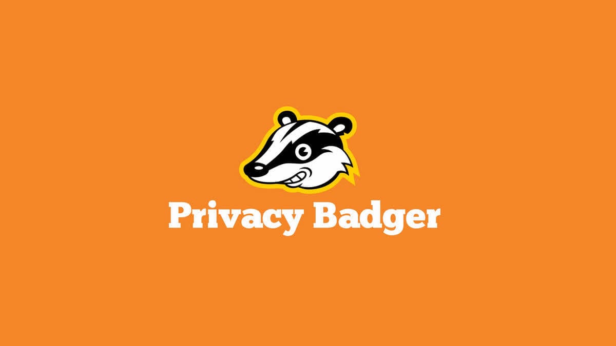 Privacy Badger Review VPN Fan