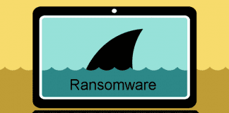 ransomware under a shark fin