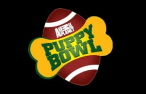 Puppy Bowl Image