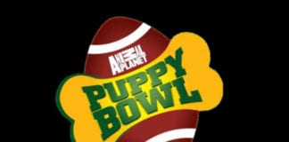 Puppy Bowl Image
