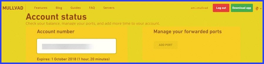 Mullvad Account Status and Management