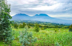 Volcanoes in Rwanda