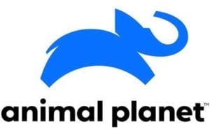 Animal Planet