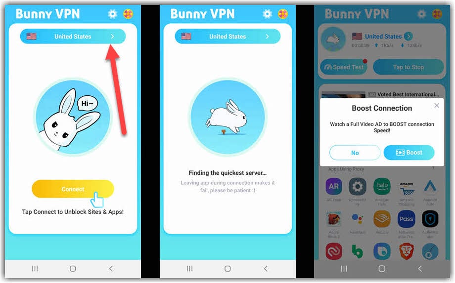 Bunny VPN Usage