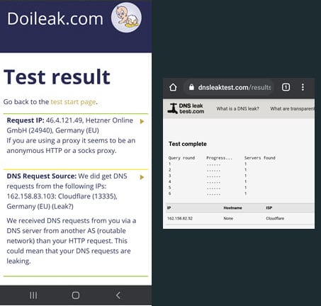 ArgoVPN DNS leak test