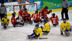 Winter Paralympics